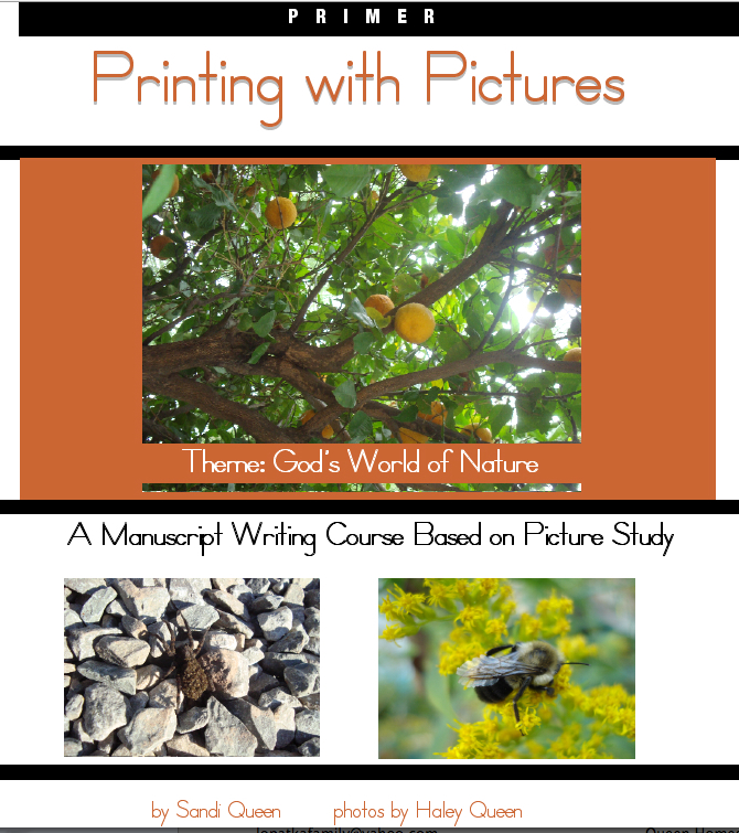 Printing with Pictures Series