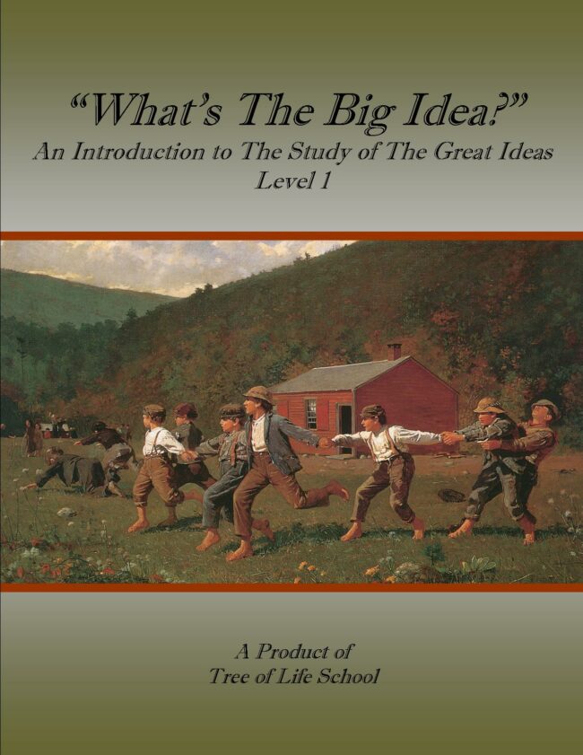 What's the Big Idea?, Level 1 Manual