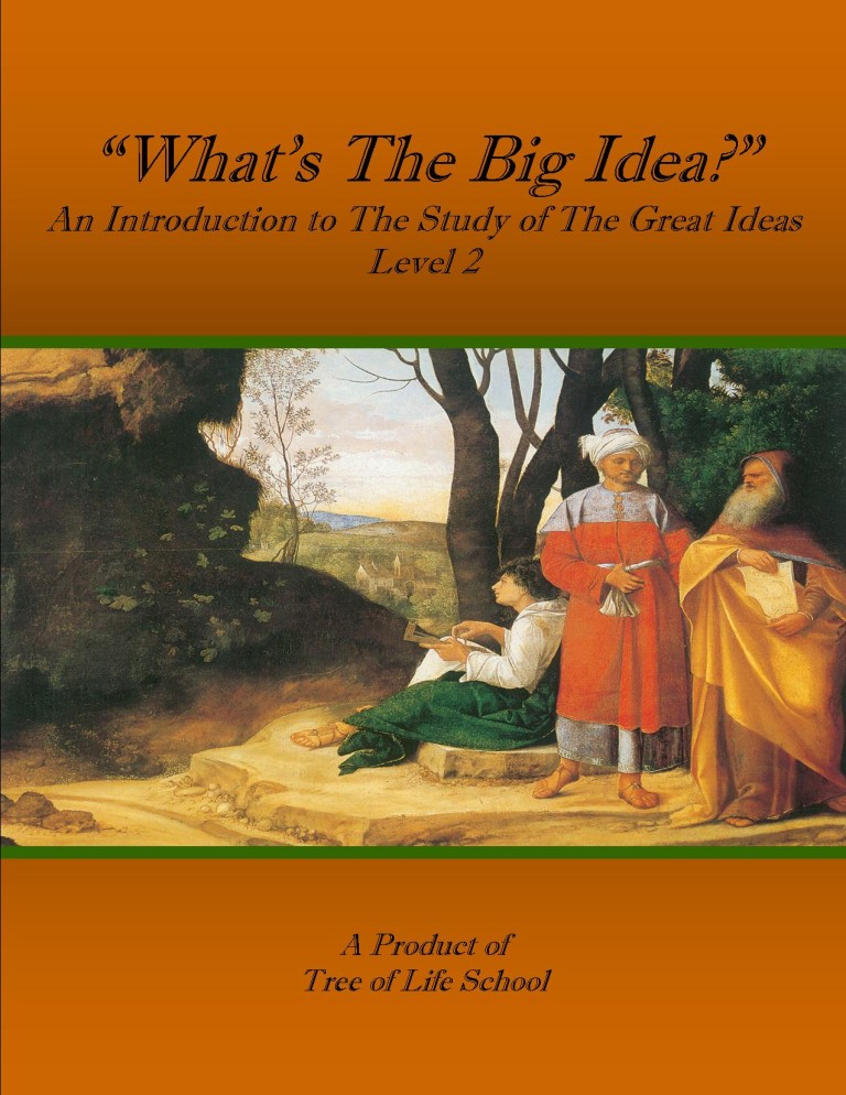 What's the Big Idea?, Level 2 Manual