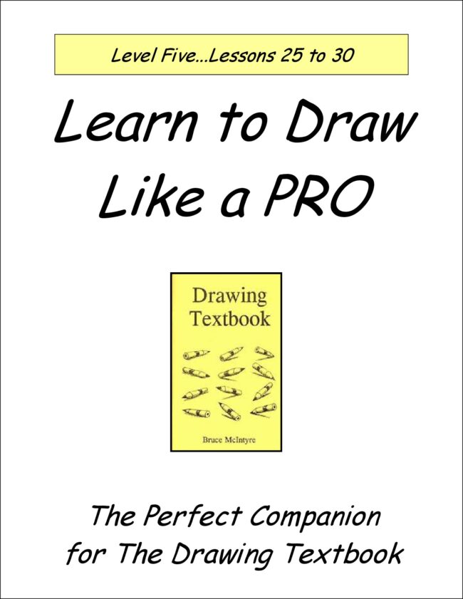 Learn to Draw Like a Pro Level 5 Download